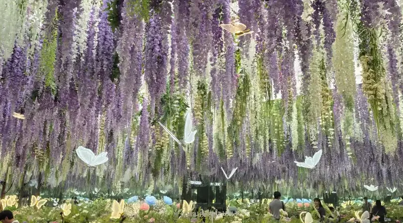 Gapyeong Begonia Bird Park: A Flower and Bird Garden Near Seoul