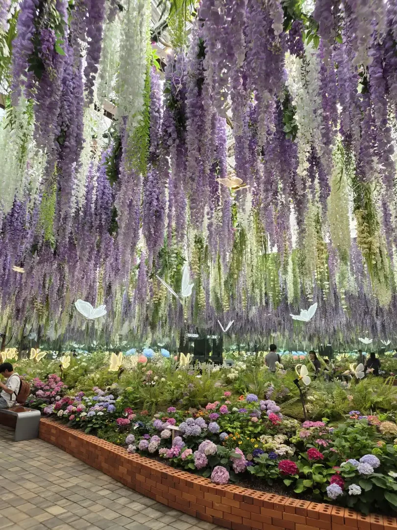 Gapyeong Begonia Bird Park: A Flower and Bird Garden Near Seoul